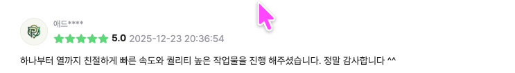 시간부자웹 | 홈페이지 제작 전문 - 매출과 연결되는 전략형 웹사이트 13 시간부자웹 크몽 5.0 고객 리뷰 - 빠른 속도와 높은 퀄리티 워드프레스 제작 실제 후기